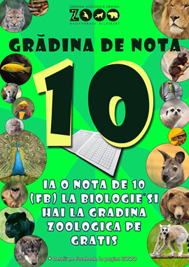Grădina Zoo de nota 10 Oradea.